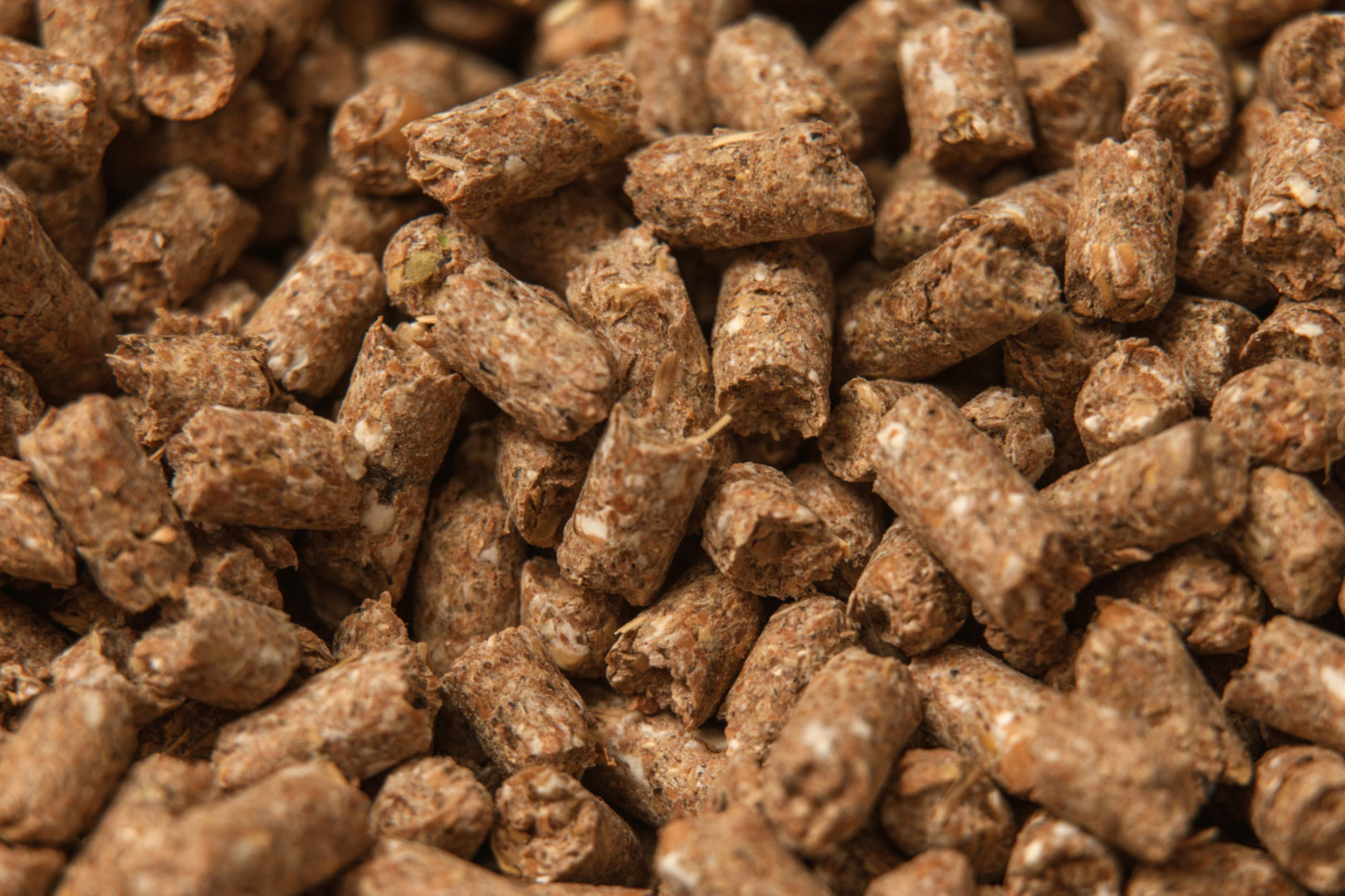 Settore Pet / Mangimi