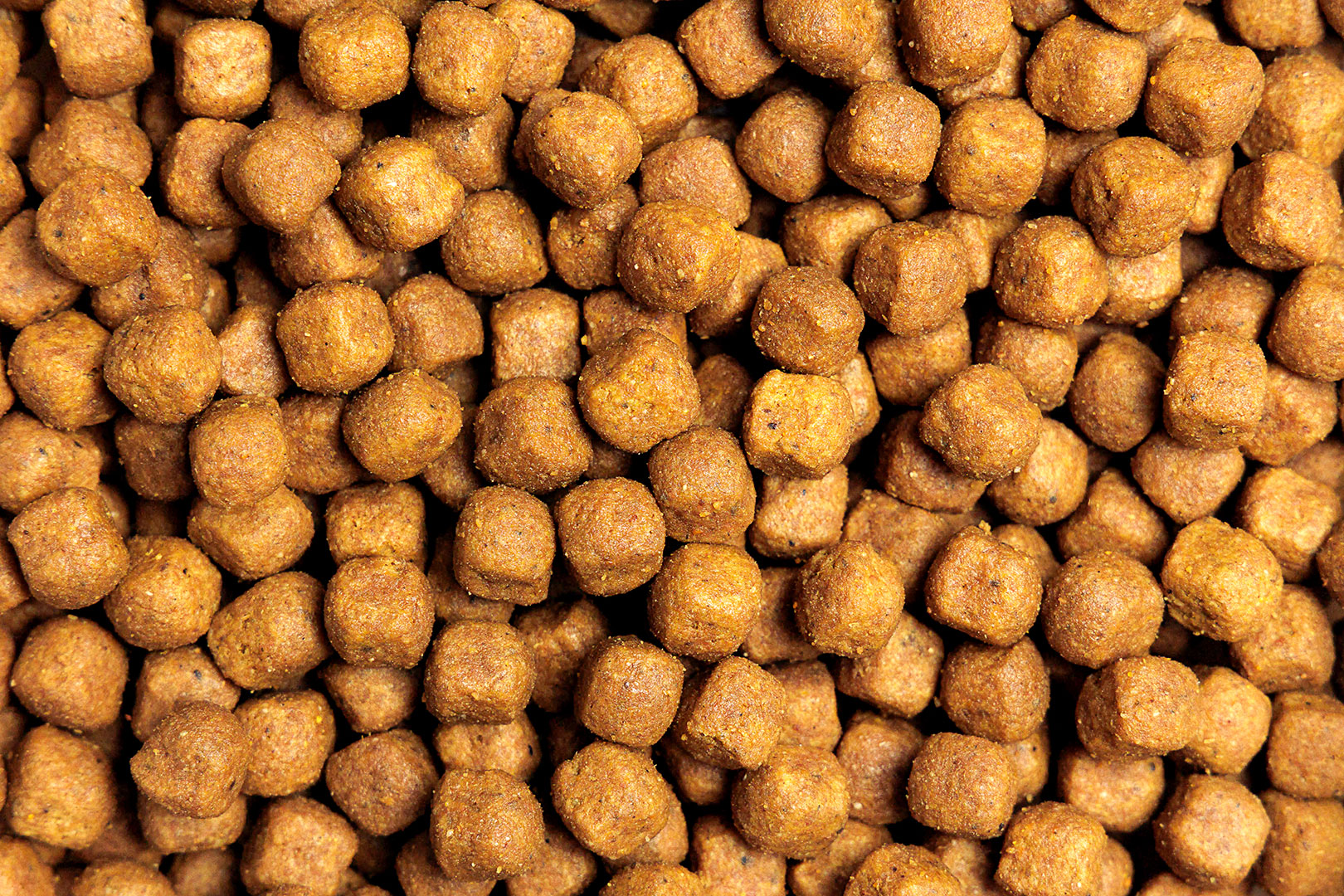 Settore Pet / Mangimi